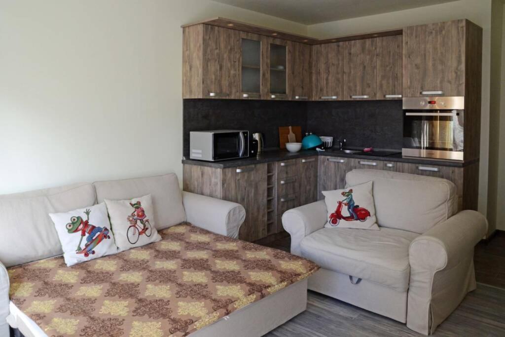 Cozy One Bedroom Apartment In Iglika Complex ボロヴェッツ エクステリア 写真