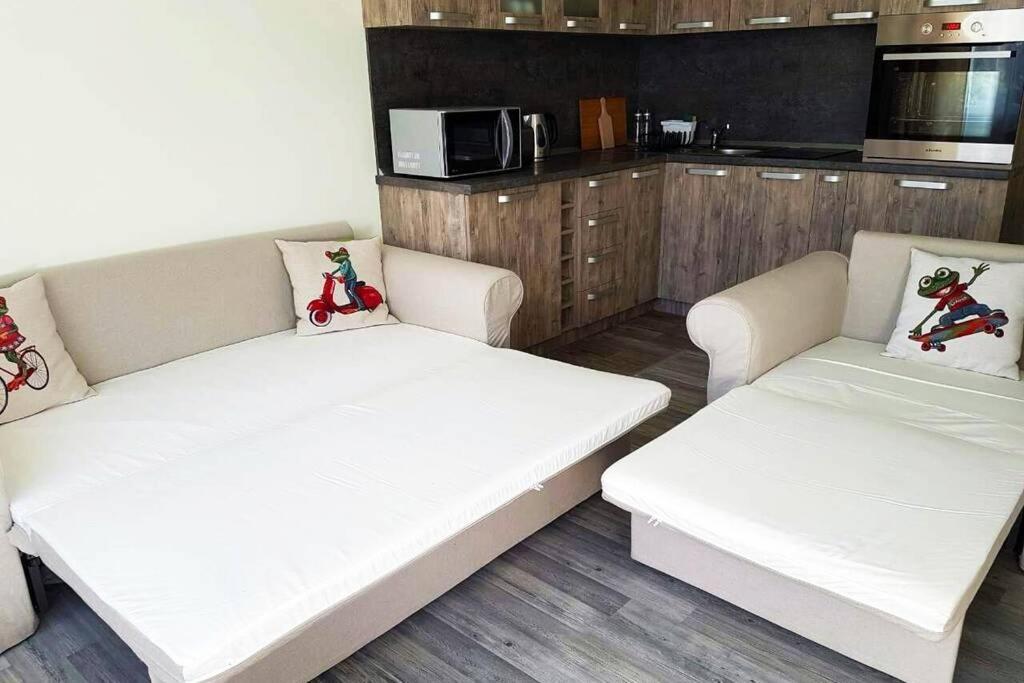 Cozy One Bedroom Apartment In Iglika Complex ボロヴェッツ エクステリア 写真